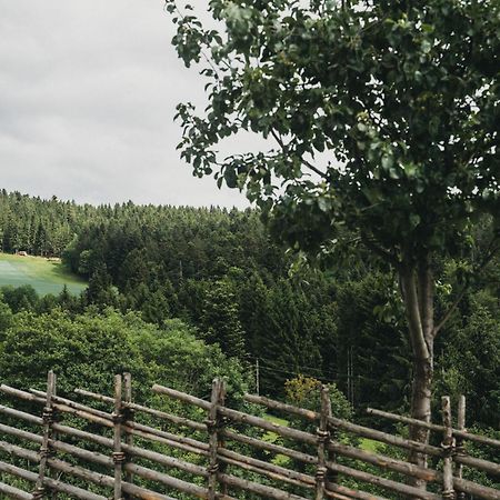 Hotel Muhr Pöllauberg Exteriér fotografie